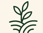 Sustainable Farming
